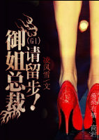 总裁，请留步！〔gl〕